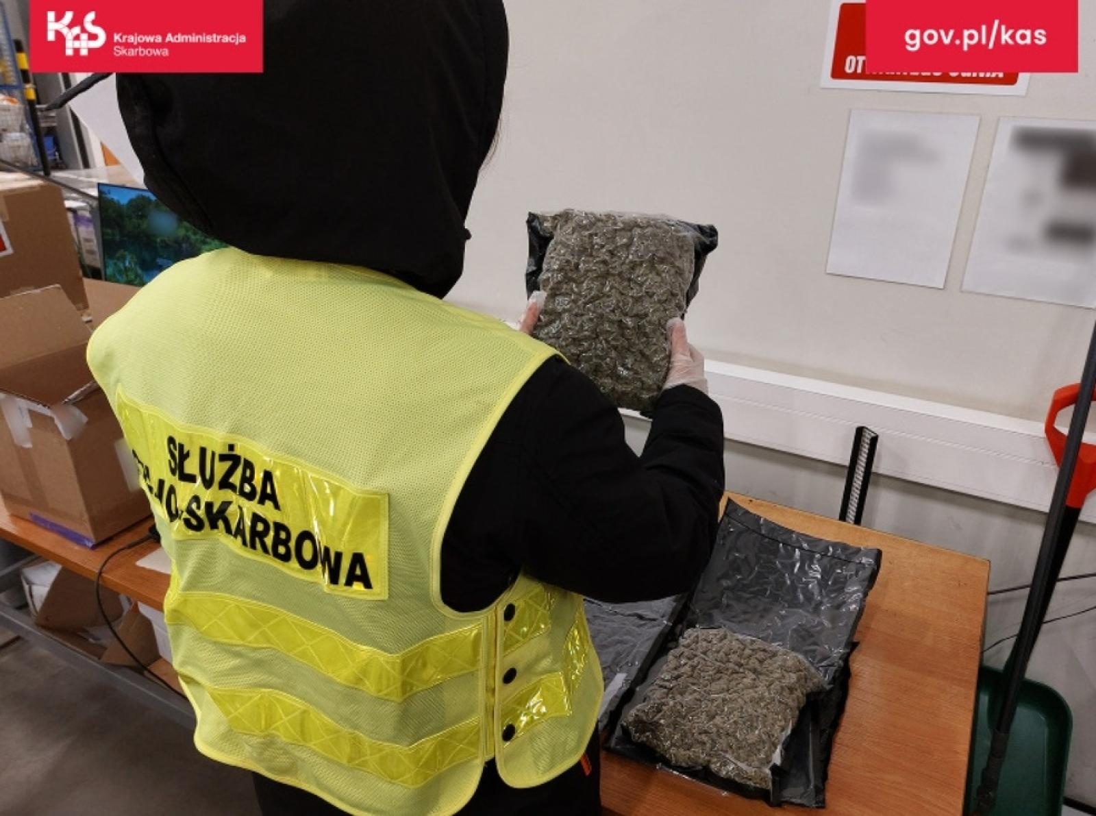 Zdjęcie w galerii na portalu naszraciborz.pl: Czworonożny funkcjonariusz Kodi ujawnił przemyt wiadomości z regionu