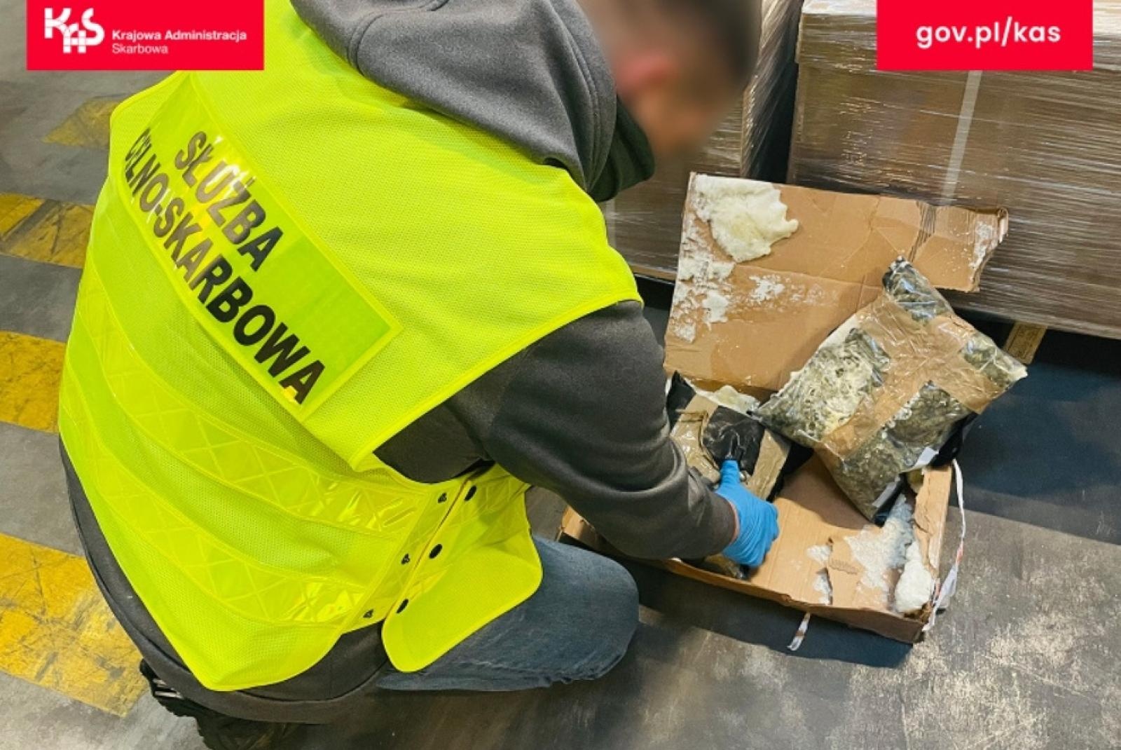 Zdjęcie w galerii na portalu naszraciborz.pl: Czworonożny funkcjonariusz Kodi ujawnił przemyt wiadomości z regionu