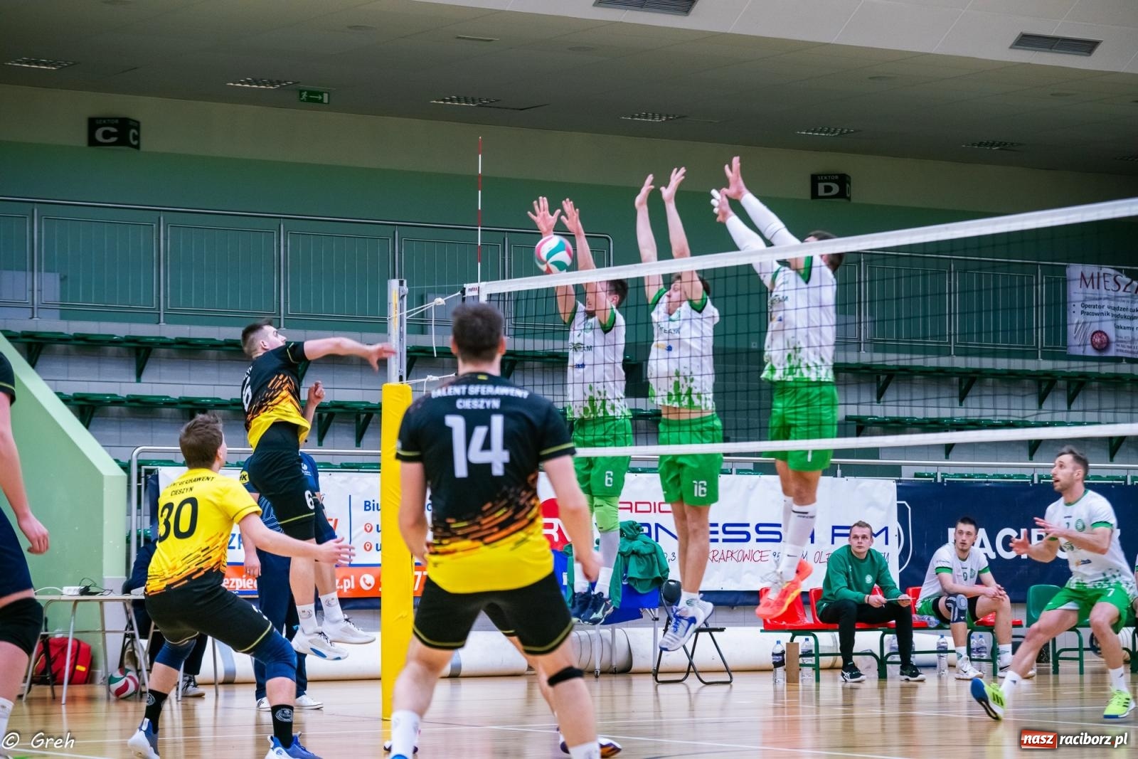Zdjęcie w galerii na portalu naszraciborz.pl: Talent Cieszyn za silny dla siatkarzy z Raciborza [FOTO i WIDEO] wiadomości z regionu