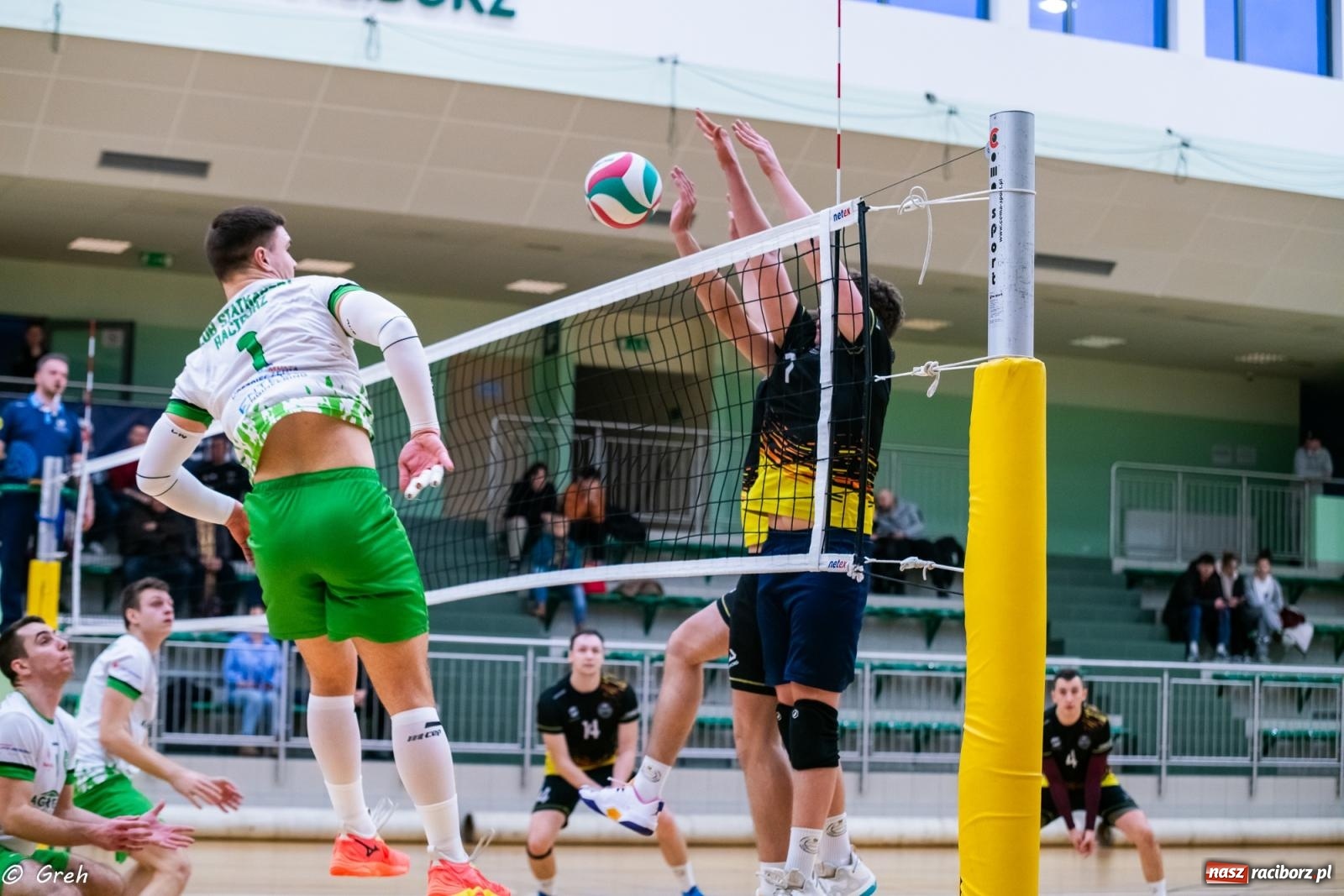 Zdjęcie w galerii na portalu naszraciborz.pl: Talent Cieszyn za silny dla siatkarzy z Raciborza [FOTO i WIDEO] wiadomości z regionu