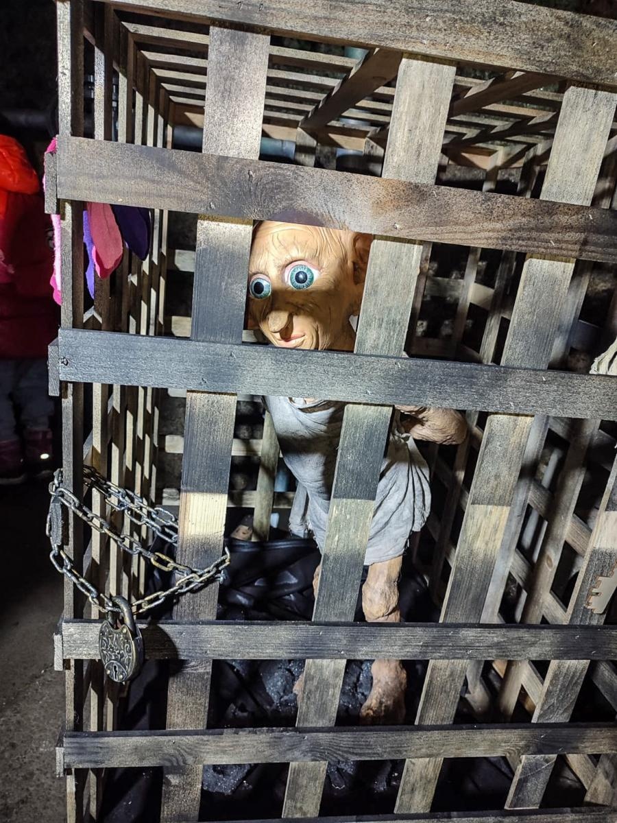 Zdjęcie w galerii na portalu naszraciborz.pl: Pierwszy tydzień ferii z Raciborskim Centrum Kultury za nami! wiadomości z regionu