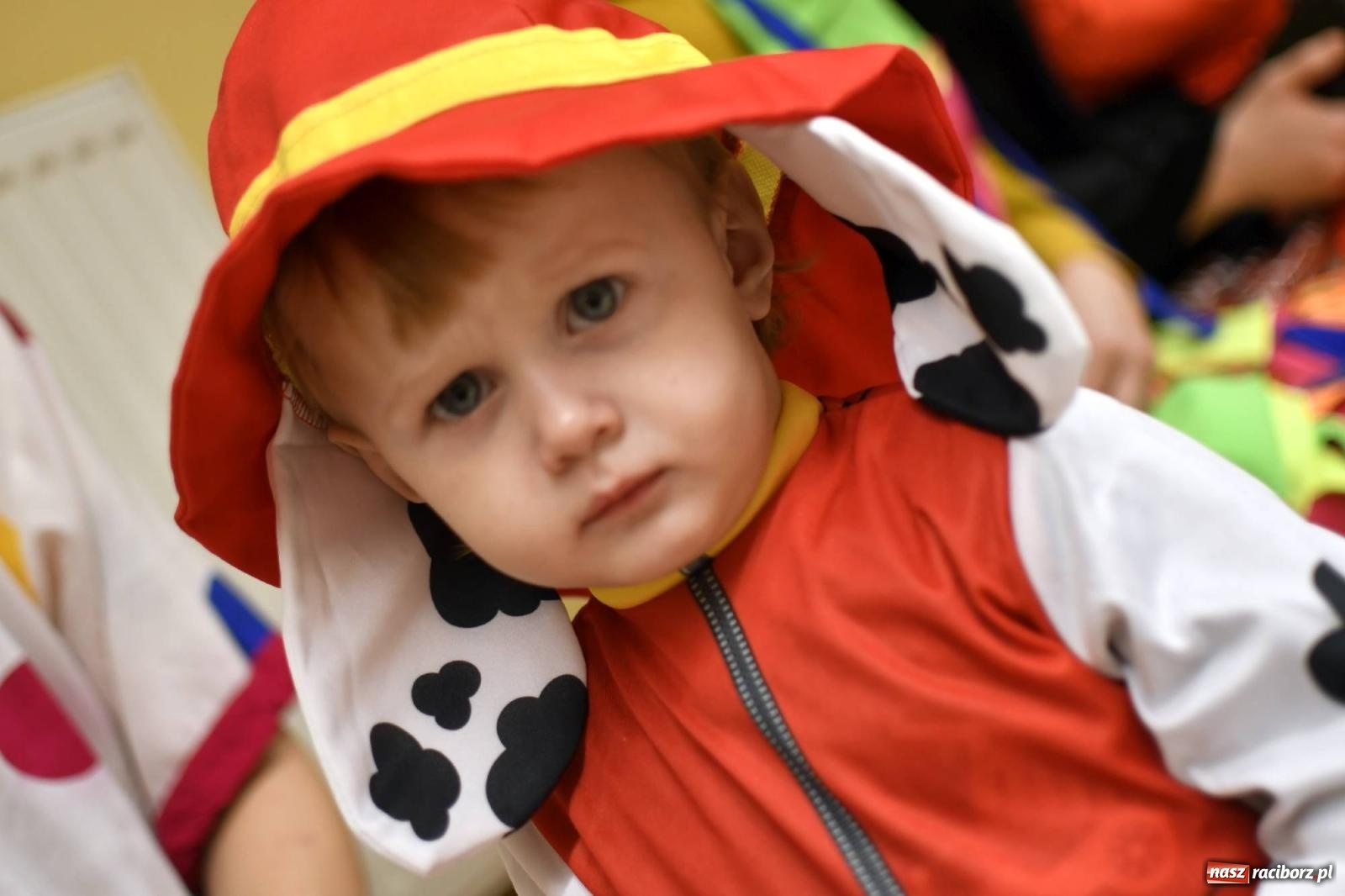 Zdjęcie w galerii na portalu naszraciborz.pl: Ponad sto bajkowych i filmowych postaci na balu karnawałowym w Pietrowicach Wielkich wiadomości z regionu