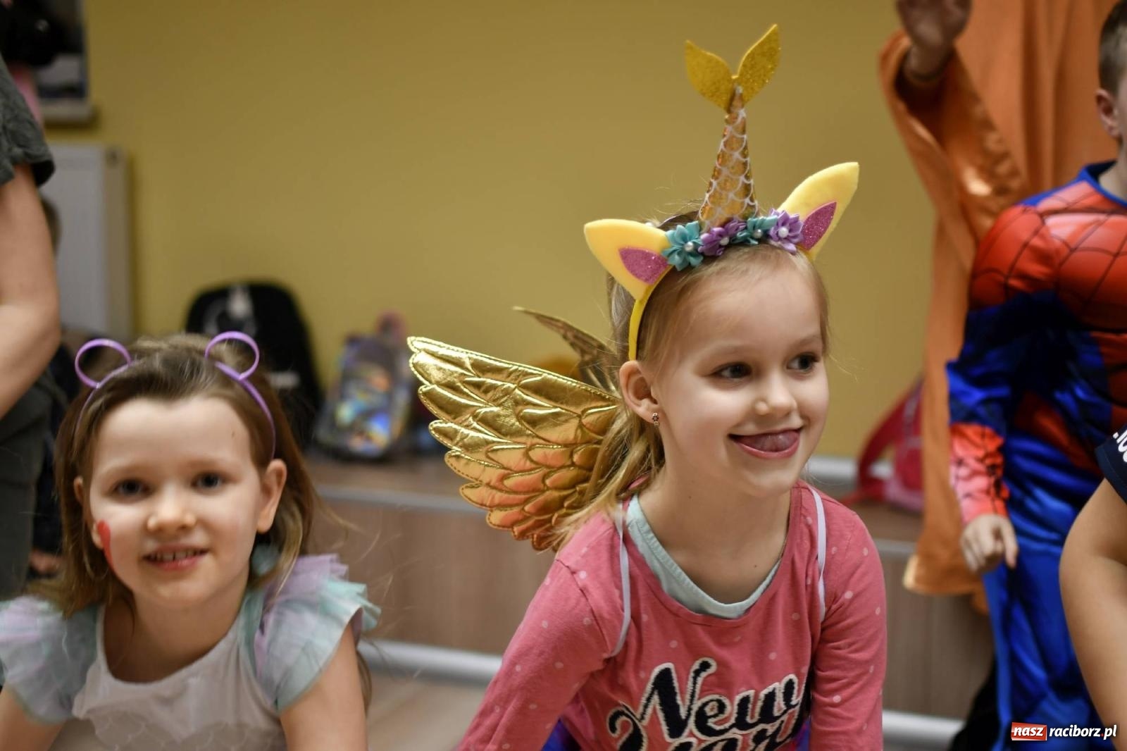 Zdjęcie w galerii na portalu naszraciborz.pl: Ponad sto bajkowych i filmowych postaci na balu karnawałowym w Pietrowicach Wielkich wiadomości z regionu