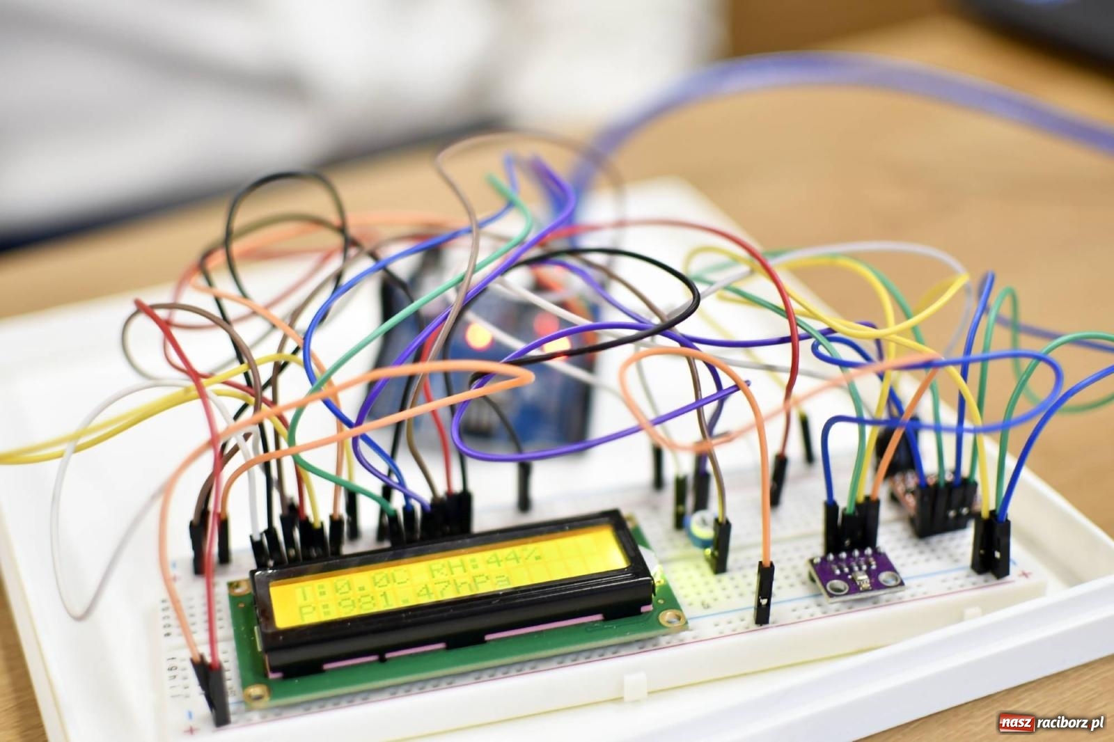 Zdjęcie w galerii na portalu naszraciborz.pl: Raciborska uczelnia wręczyła swoje prestiżowe wyróżnienia wiadomości z regionu