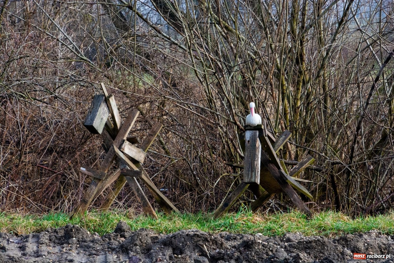 Zdjęcie w galerii na portalu naszraciborz.pl: Bery z parafii Las Vegas żegnają karnawał [FOTO i WIDEO] wiadomości z regionu
