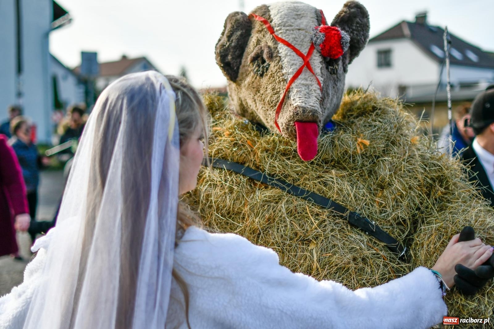 Zdjęcie w galerii na portalu naszraciborz.pl: Tanzbär, czyli ostatki po samborowicku. Zegnamy karnawał 2024 wiadomości z regionu