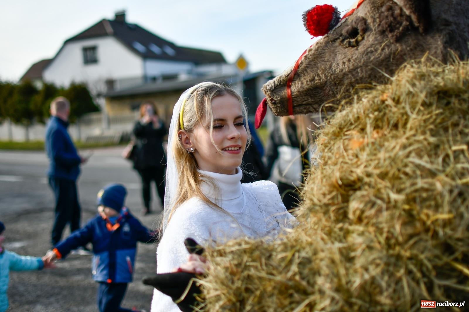 Zdjęcie w galerii na portalu naszraciborz.pl: Tanzbär, czyli ostatki po samborowicku. Zegnamy karnawał 2024 wiadomości z regionu