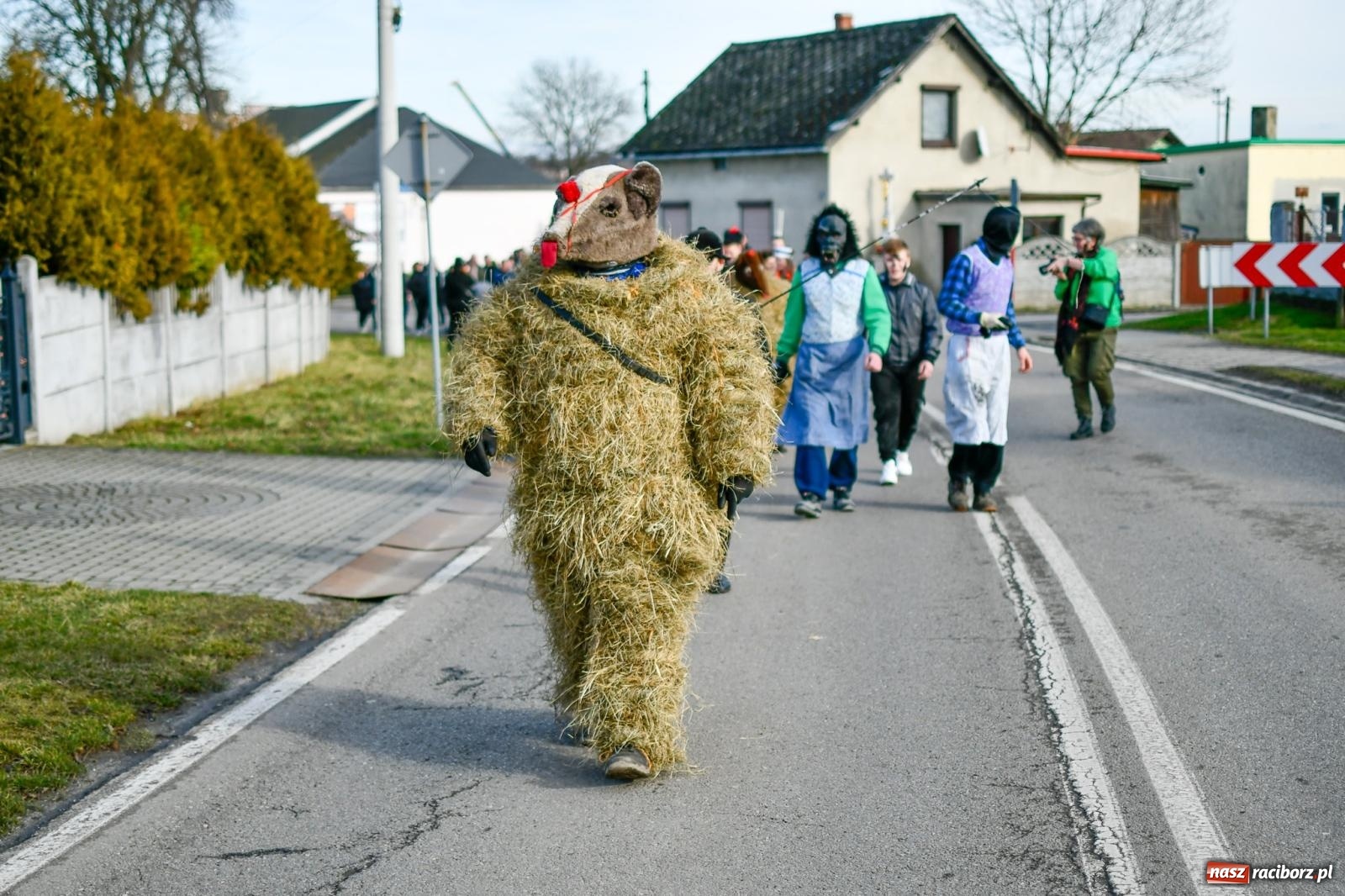 Zdjęcie w galerii na portalu naszraciborz.pl: Tanzbär, czyli ostatki po samborowicku. Zegnamy karnawał 2024 wiadomości z regionu