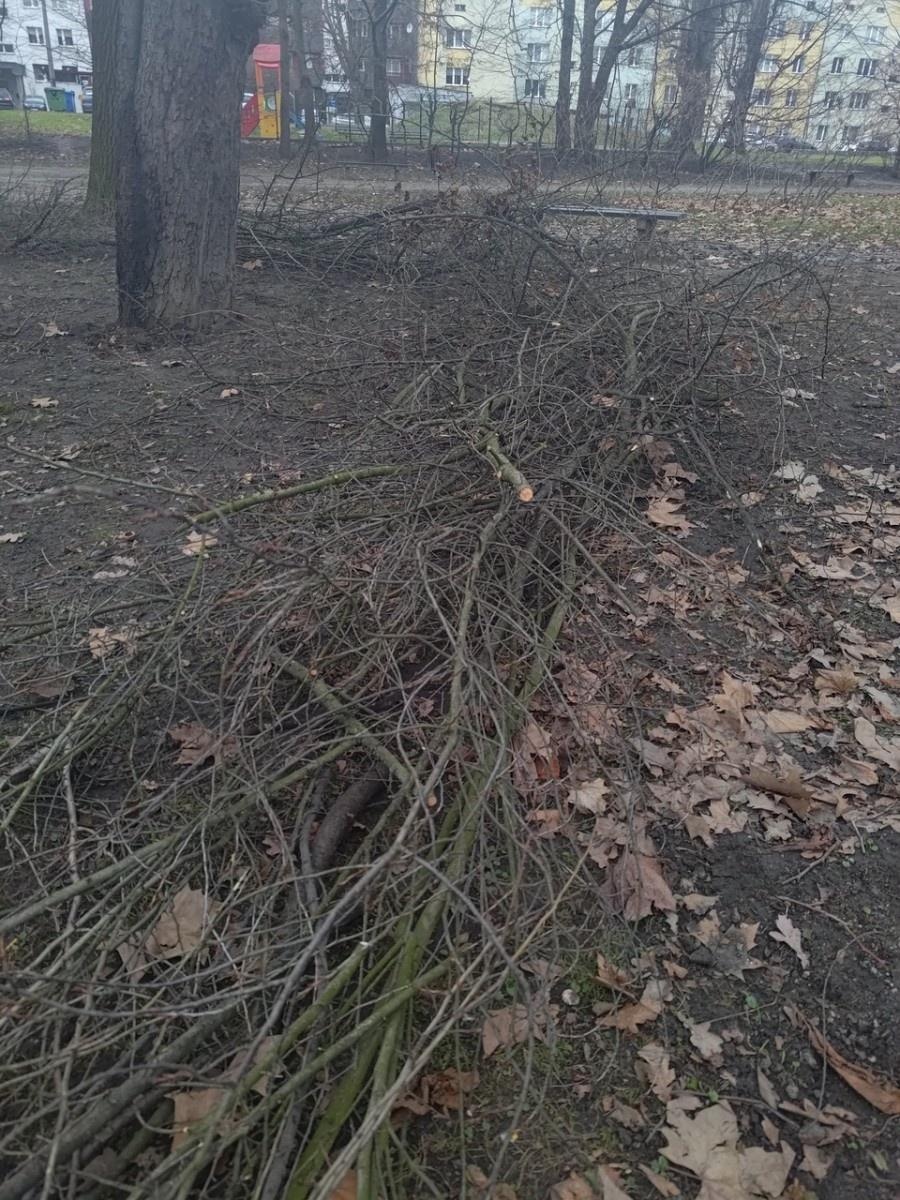 Zdjęcie w galerii na portalu naszraciborz.pl: Powstały naturalne schronienia dla dzikich zwierząt w parku przy Kolejowej wiadomości z regionu