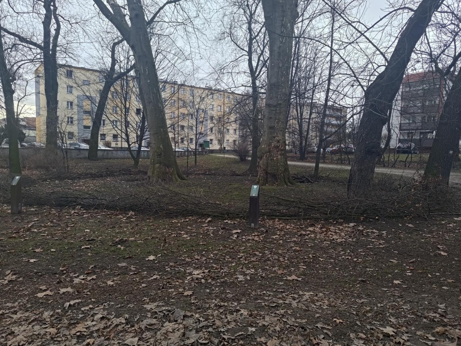 Zdjęcie w galerii na portalu naszraciborz.pl: Powstały naturalne schronienia dla dzikich zwierząt w parku przy Kolejowej wiadomości z regionu