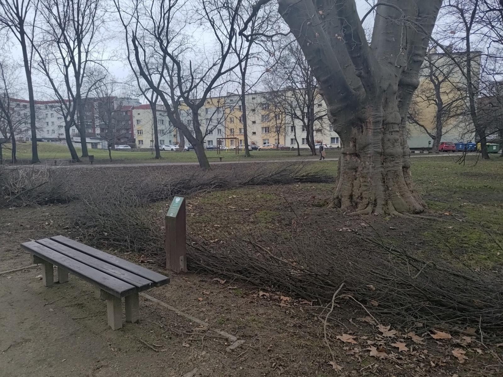 Zdjęcie w galerii na portalu naszraciborz.pl: Powstały naturalne schronienia dla dzikich zwierząt w parku przy Kolejowej wiadomości z regionu