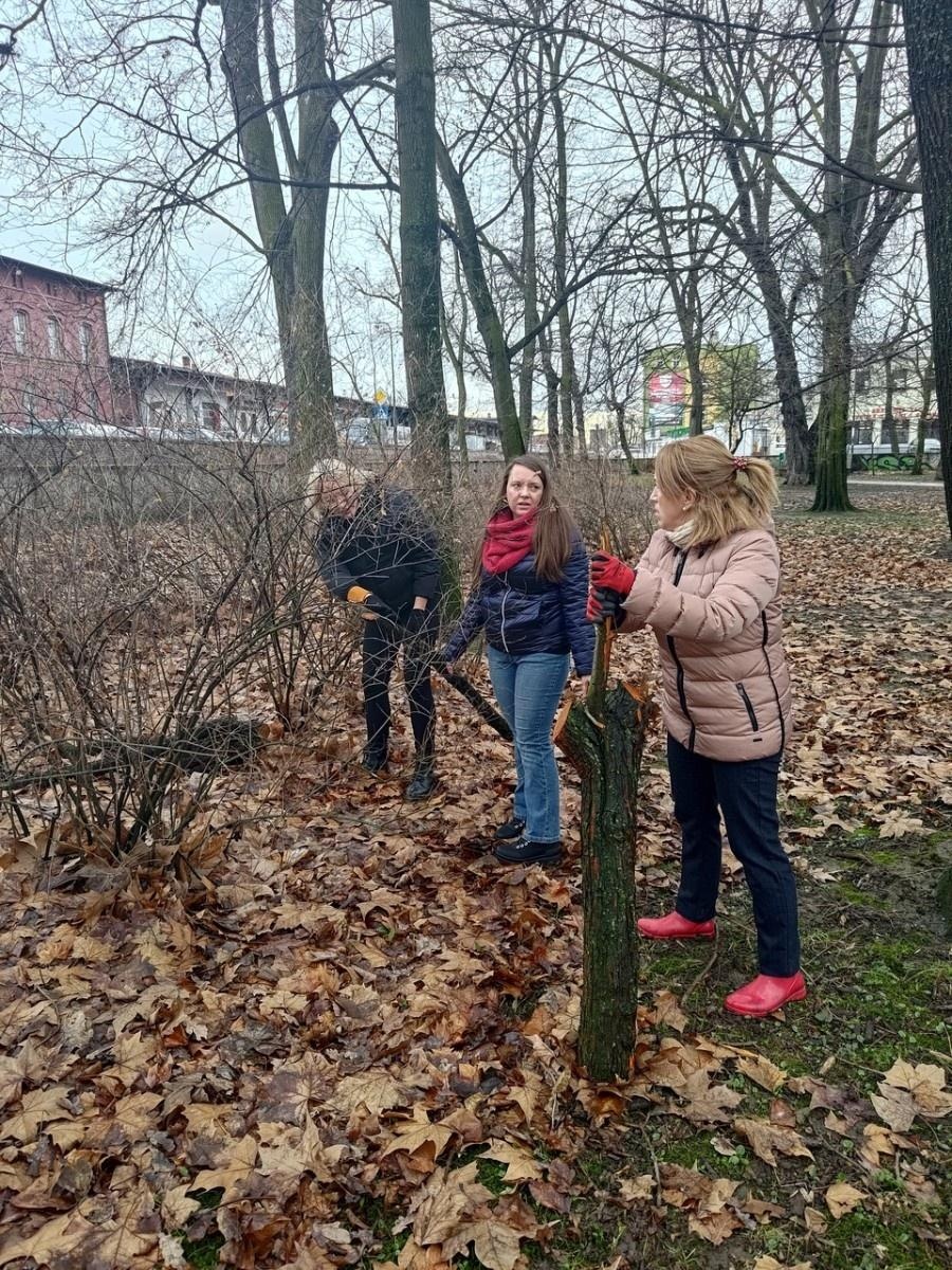 Zdjęcie w galerii na portalu naszraciborz.pl: Powstały naturalne schronienia dla dzikich zwierząt w parku przy Kolejowej wiadomości z regionu