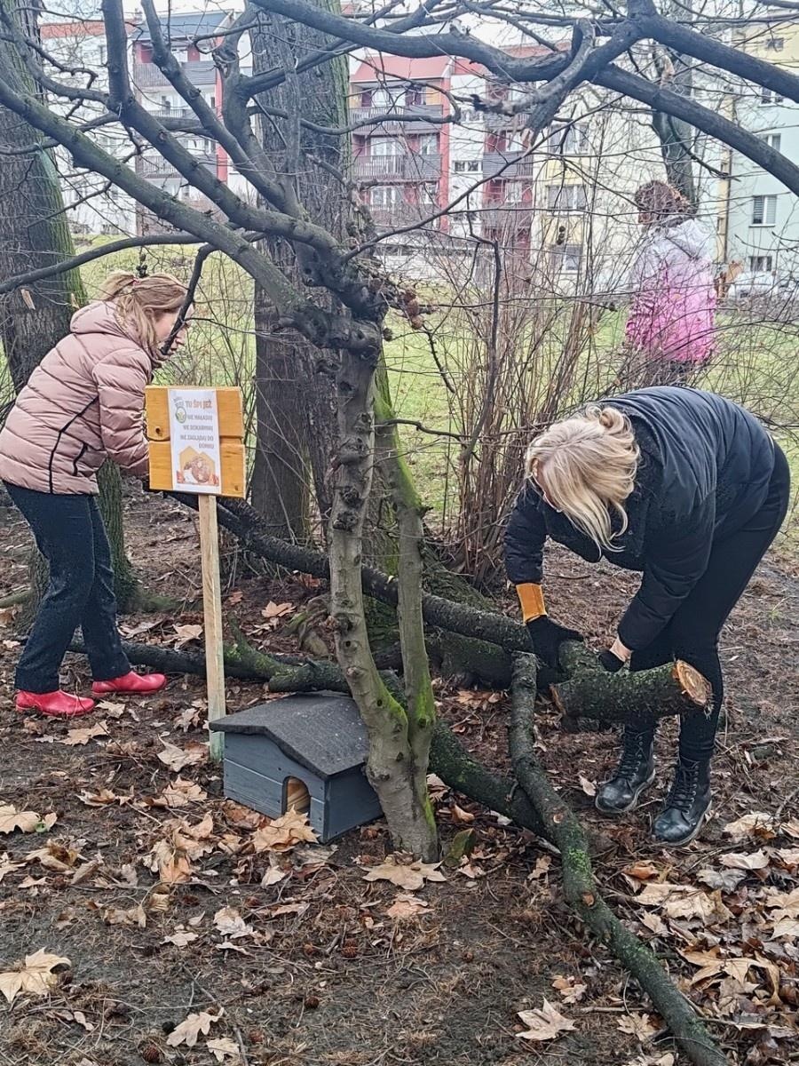 Zdjęcie w galerii na portalu naszraciborz.pl: Powstały naturalne schronienia dla dzikich zwierząt w parku przy Kolejowej wiadomości z regionu
