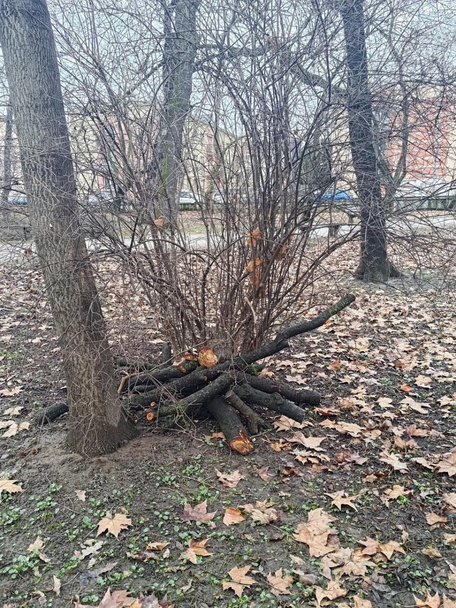 Zdjęcie w galerii na portalu naszraciborz.pl: Powstały naturalne schronienia dla dzikich zwierząt w parku przy Kolejowej wiadomości z regionu