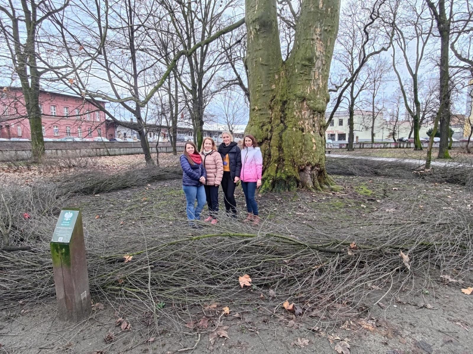 Zdjęcie w galerii na portalu naszraciborz.pl: Powstały naturalne schronienia dla dzikich zwierząt w parku przy Kolejowej wiadomości z regionu