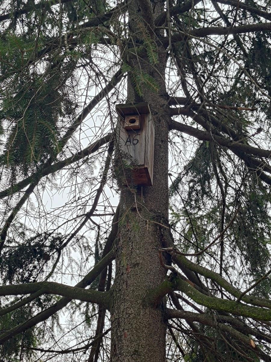 Zdjęcie w galerii na portalu naszraciborz.pl: Powstały naturalne schronienia dla dzikich zwierząt w parku przy Kolejowej wiadomości z regionu