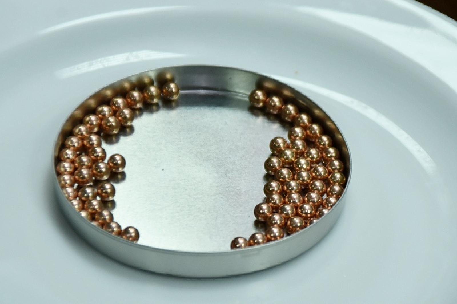 Zdjęcie w galerii na portalu naszraciborz.pl: Dzień Służby Cywilnej w Śląskim Oddziale Straży Granicznej w Raciborzu wiadomości z regionu