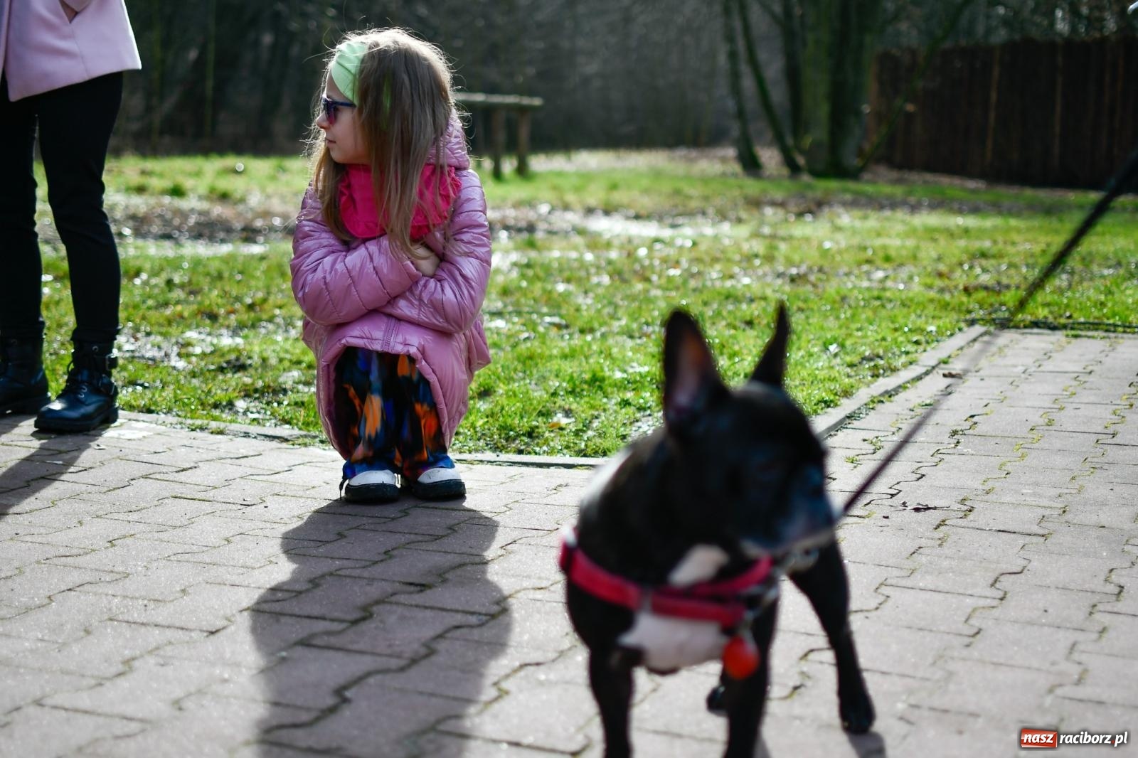Zdjęcie w galerii na portalu naszraciborz.pl: Mateusz Wolnik wygrał XII Bieg Twardziela w Raciborzu wiadomości z regionu