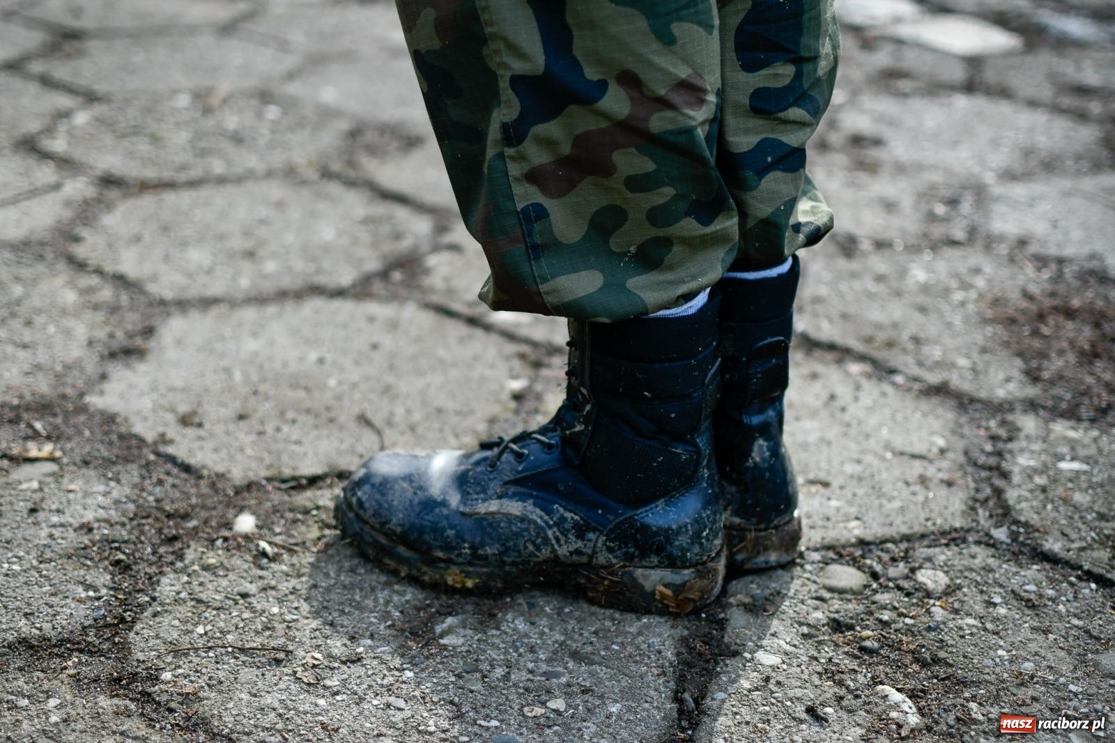 Zdjęcie w galerii na portalu naszraciborz.pl: Mateusz Wolnik wygrał XII Bieg Twardziela w Raciborzu wiadomości z regionu