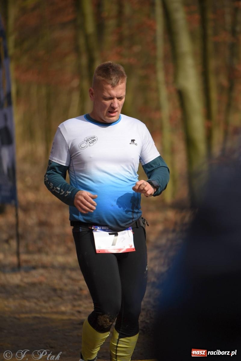 Zdjęcie w galerii na portalu naszraciborz.pl: Raciborski XII Bieg Twardziela na bis! wiadomości z regionu
