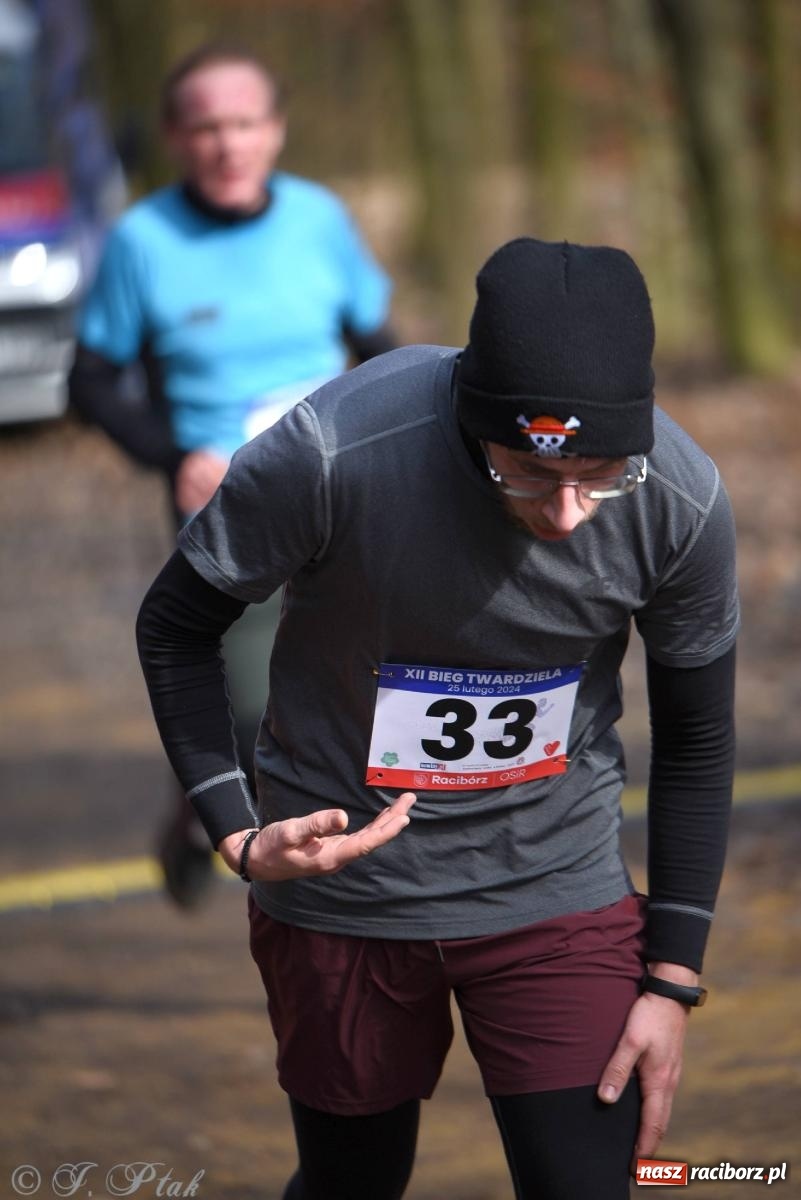 Zdjęcie w galerii na portalu naszraciborz.pl: Raciborski XII Bieg Twardziela na bis! wiadomości z regionu