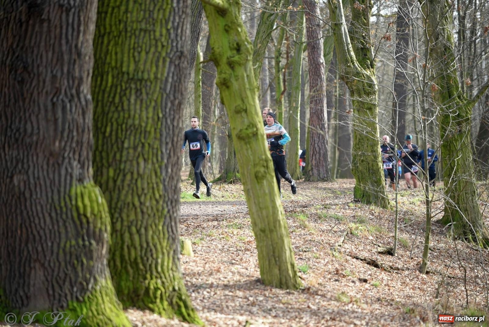 Zdjęcie w galerii na portalu naszraciborz.pl: Raciborski XII Bieg Twardziela na bis! wiadomości z regionu