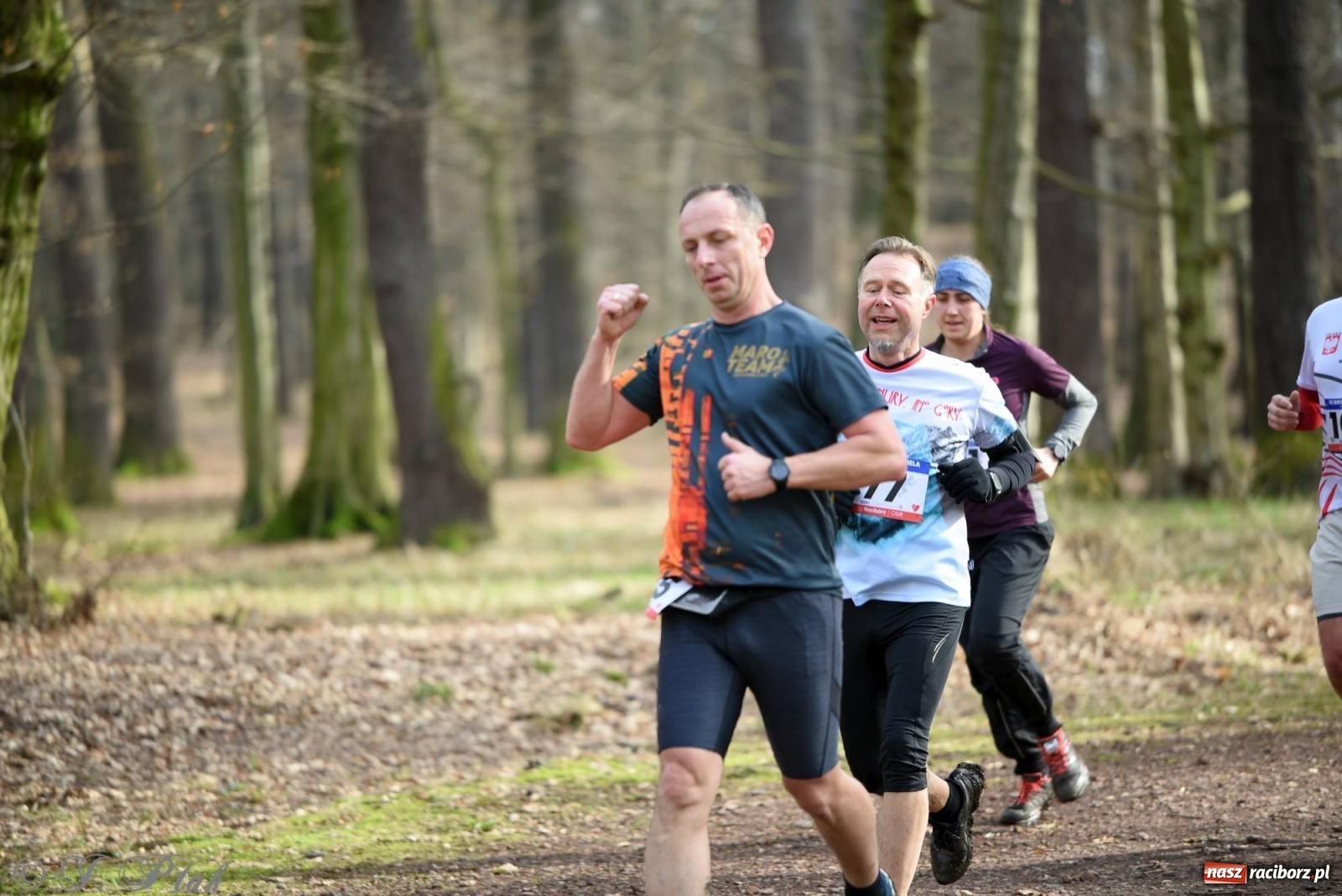 Zdjęcie w galerii na portalu naszraciborz.pl: Raciborski XII Bieg Twardziela na bis! wiadomości z regionu