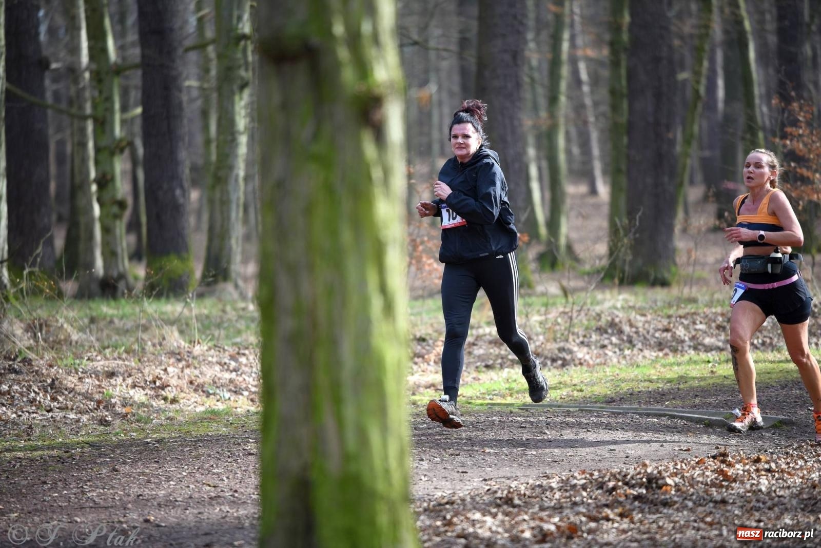 Zdjęcie w galerii na portalu naszraciborz.pl: Raciborski XII Bieg Twardziela na bis! wiadomości z regionu