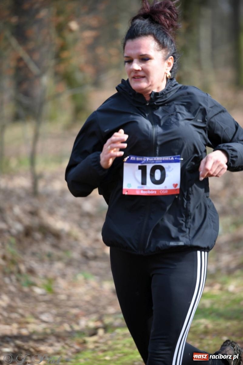 Zdjęcie w galerii na portalu naszraciborz.pl: Raciborski XII Bieg Twardziela na bis! wiadomości z regionu