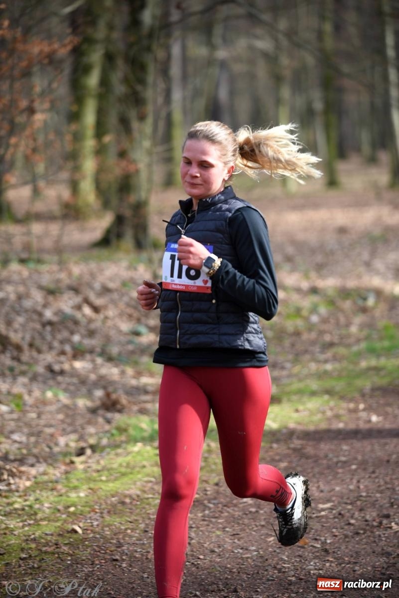 Zdjęcie w galerii na portalu naszraciborz.pl: Raciborski XII Bieg Twardziela na bis! wiadomości z regionu