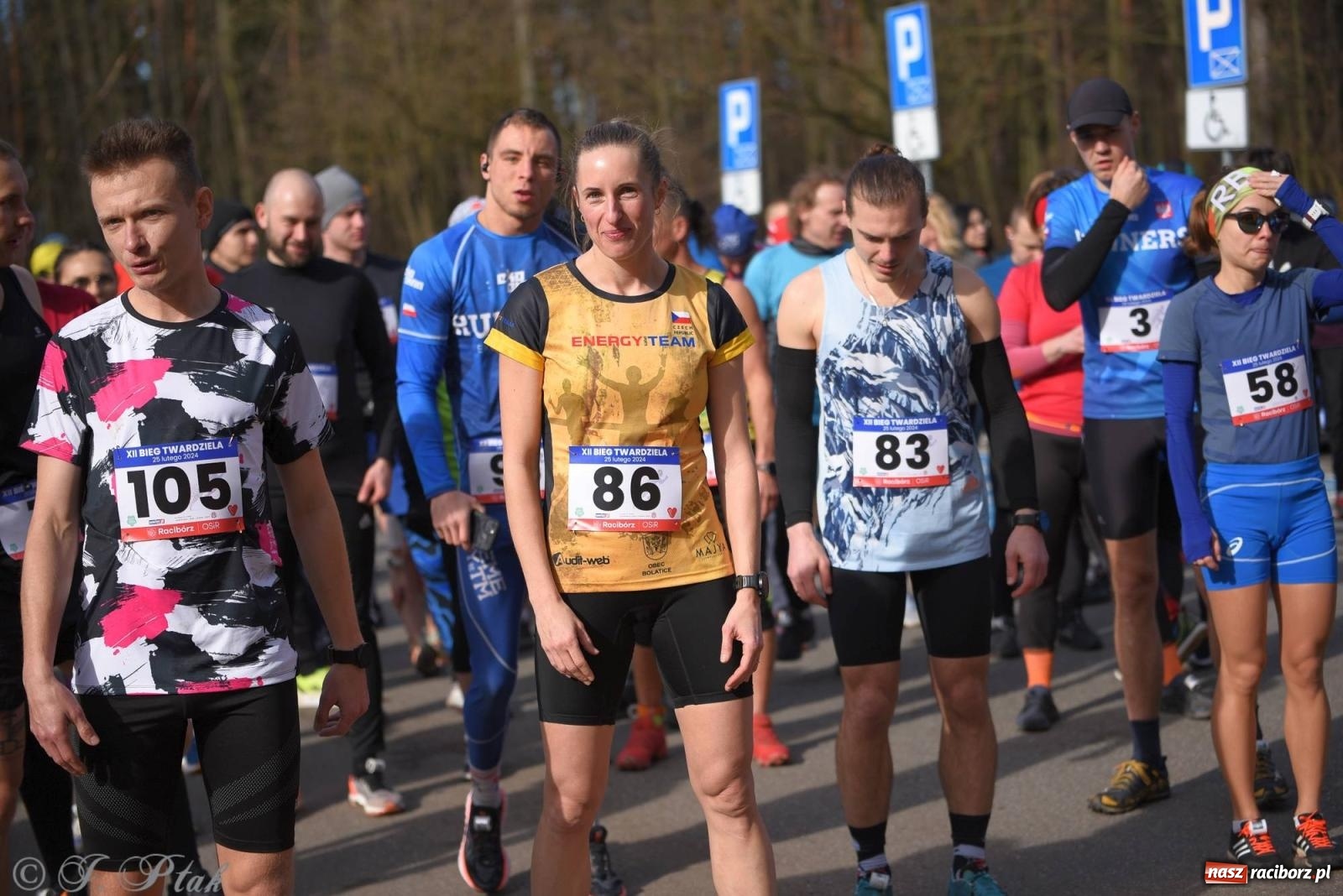Zdjęcie w galerii na portalu naszraciborz.pl: Raciborski XII Bieg Twardziela na bis! wiadomości z regionu