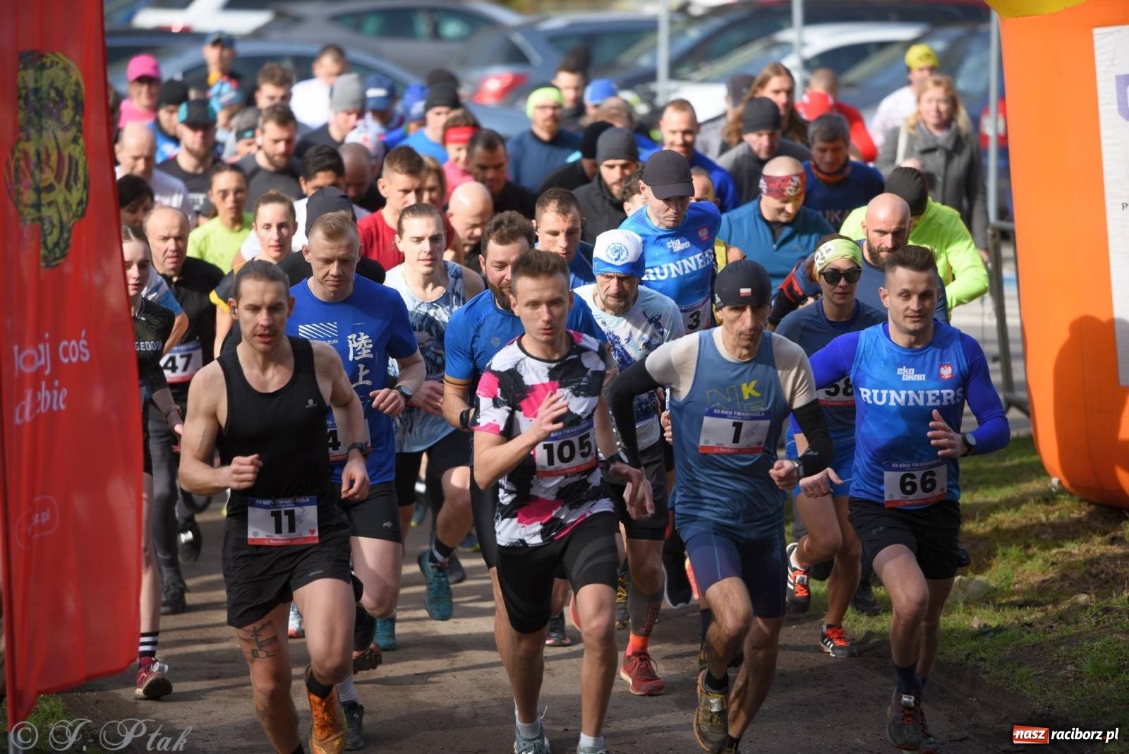 Zdjęcie w galerii na portalu naszraciborz.pl: Raciborski XII Bieg Twardziela na bis! wiadomości z regionu