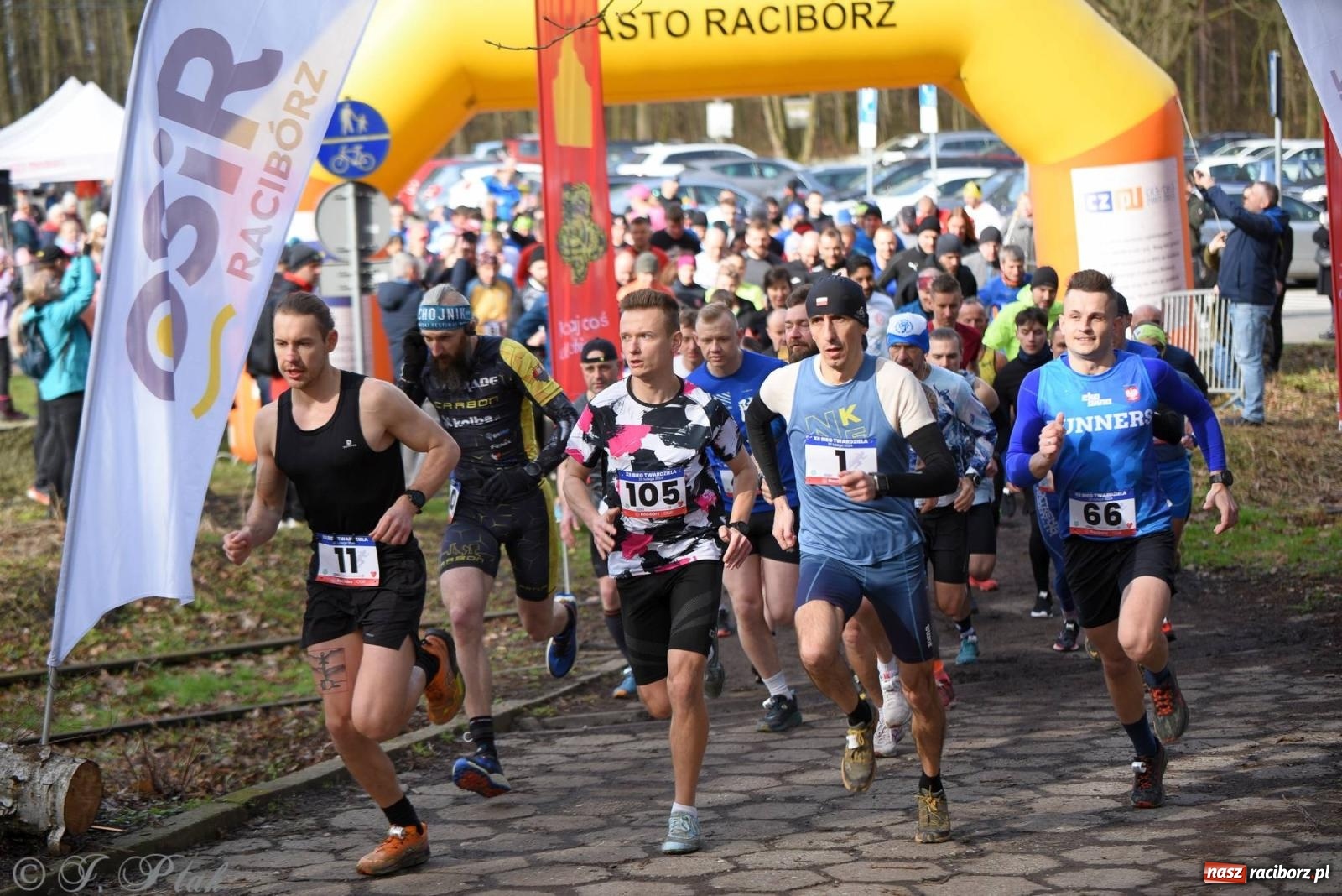 Zdjęcie w galerii na portalu naszraciborz.pl: Raciborski XII Bieg Twardziela na bis! wiadomości z regionu