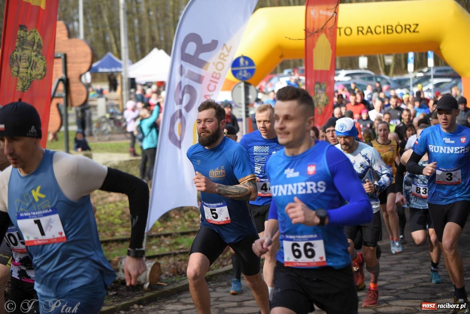 Zdjęcie w galerii na portalu naszraciborz.pl: Raciborski XII Bieg Twardziela na bis! wiadomości z regionu