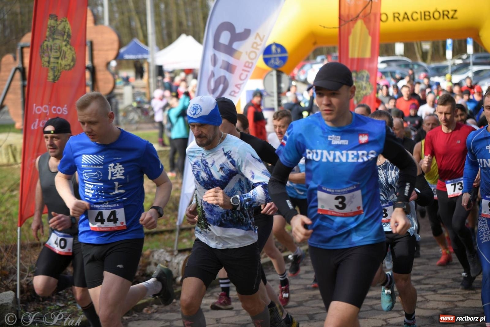 Zdjęcie w galerii na portalu naszraciborz.pl: Raciborski XII Bieg Twardziela na bis! wiadomości z regionu