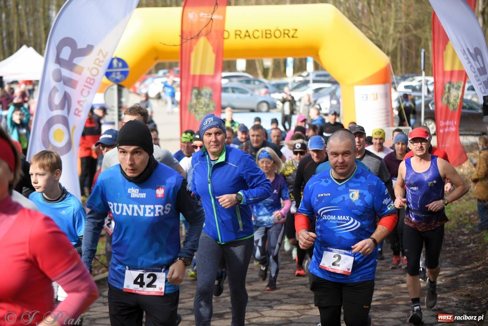 Zdjęcie w galerii na portalu naszraciborz.pl: Raciborski XII Bieg Twardziela na bis! wiadomości z regionu