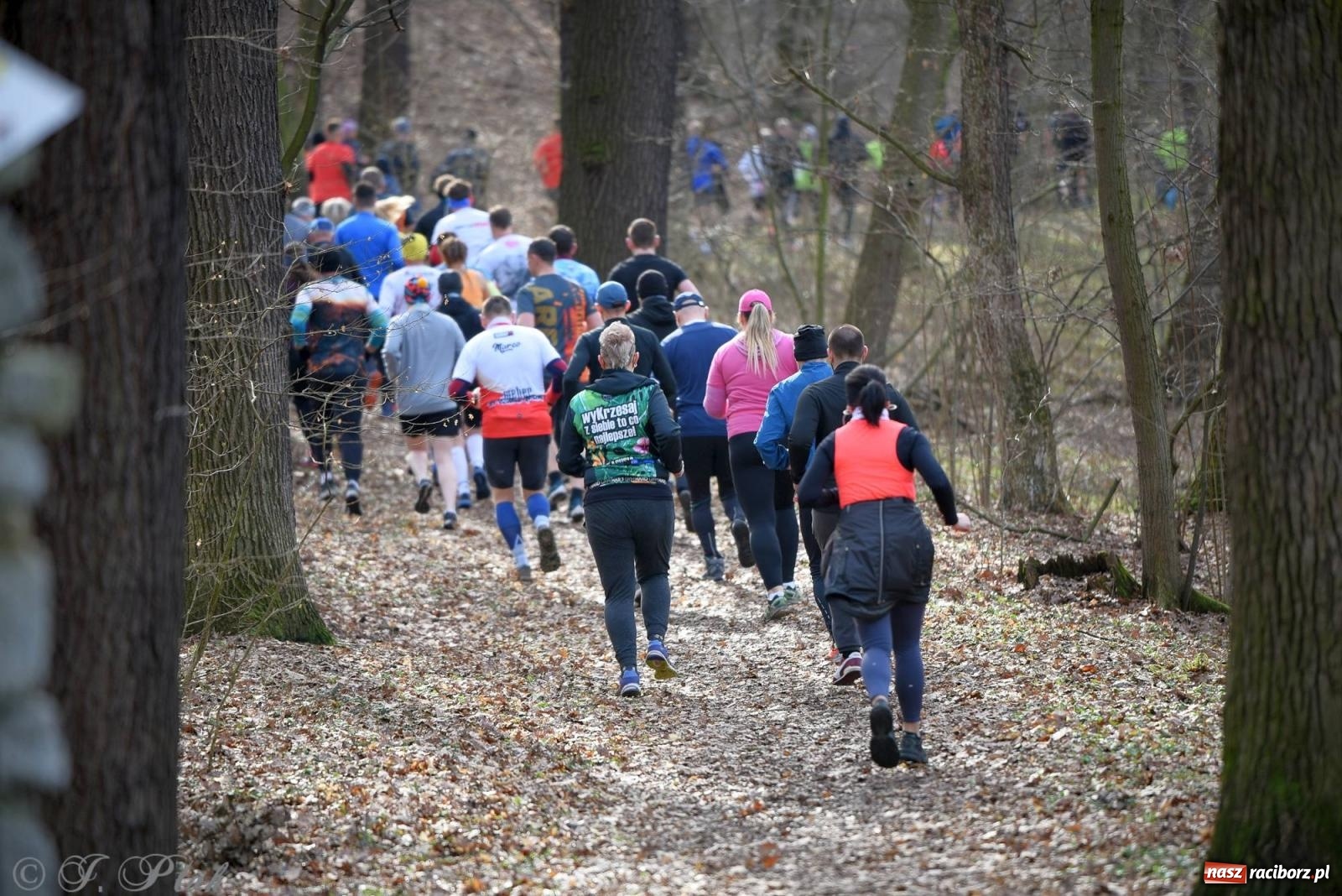 Zdjęcie w galerii na portalu naszraciborz.pl: Raciborski XII Bieg Twardziela na bis! wiadomości z regionu