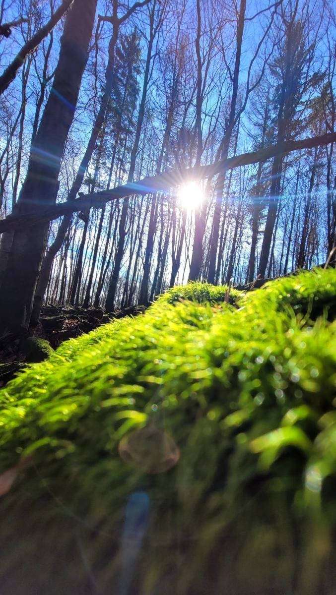 Zdjęcie w galerii na portalu naszraciborz.pl: Ślęża i Sami Swoi. Raciborzanie na kolejnych wojażach wiadomości z regionu