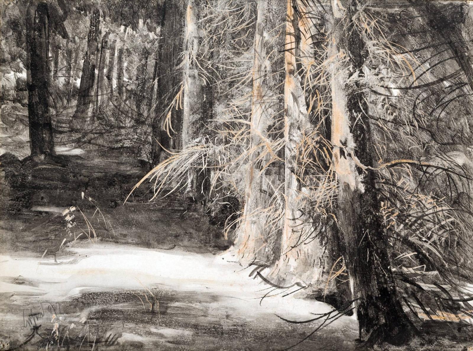 Zdjęcie w galerii na portalu naszraciborz.pl: Muzeum w Raciborzu zaprasza na wystawę mistrzowskich grafik Leona Wyczółkowskiego wiadomości z regionu