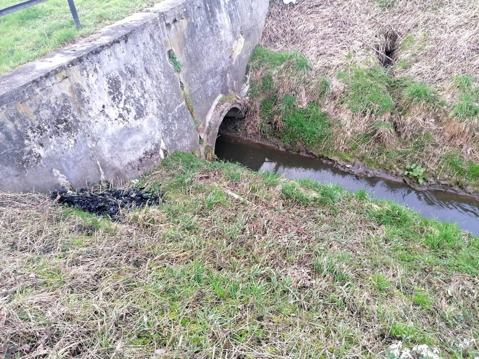 Zdjęcie w galerii na portalu naszraciborz.pl: Nieznana substancja wpływała do Odry. Wędkarze oburzeni wiadomości z regionu