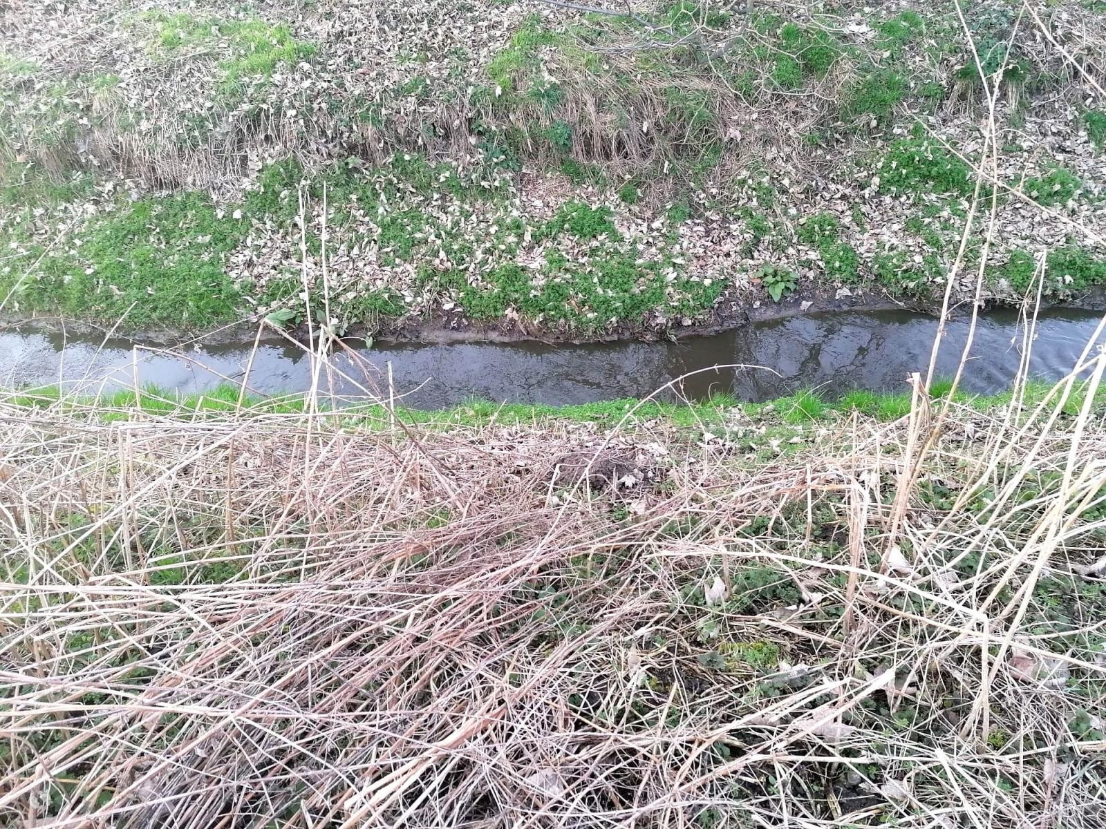 Zdjęcie w galerii na portalu naszraciborz.pl: Nieznana substancja wpływała do Odry. Wędkarze oburzeni wiadomości z regionu