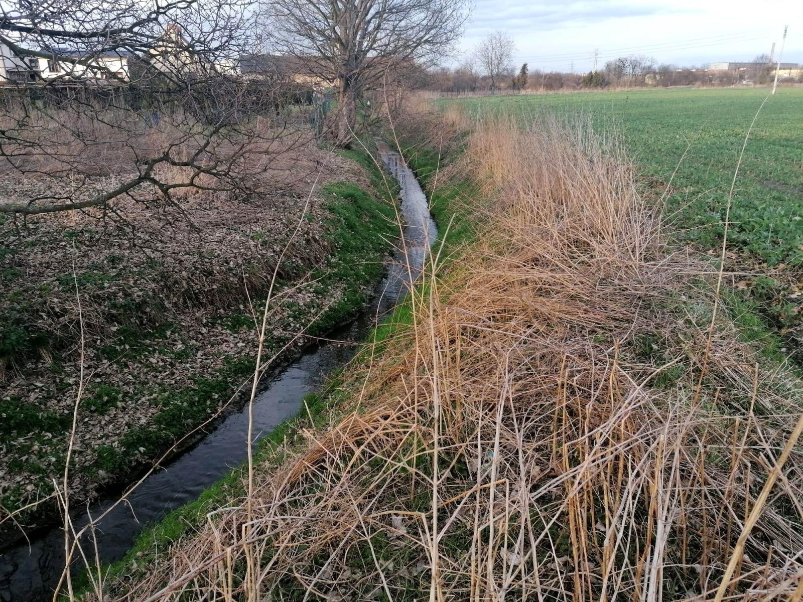 Zdjęcie w galerii na portalu naszraciborz.pl: Nieznana substancja wpływała do Odry. Wędkarze oburzeni wiadomości z regionu