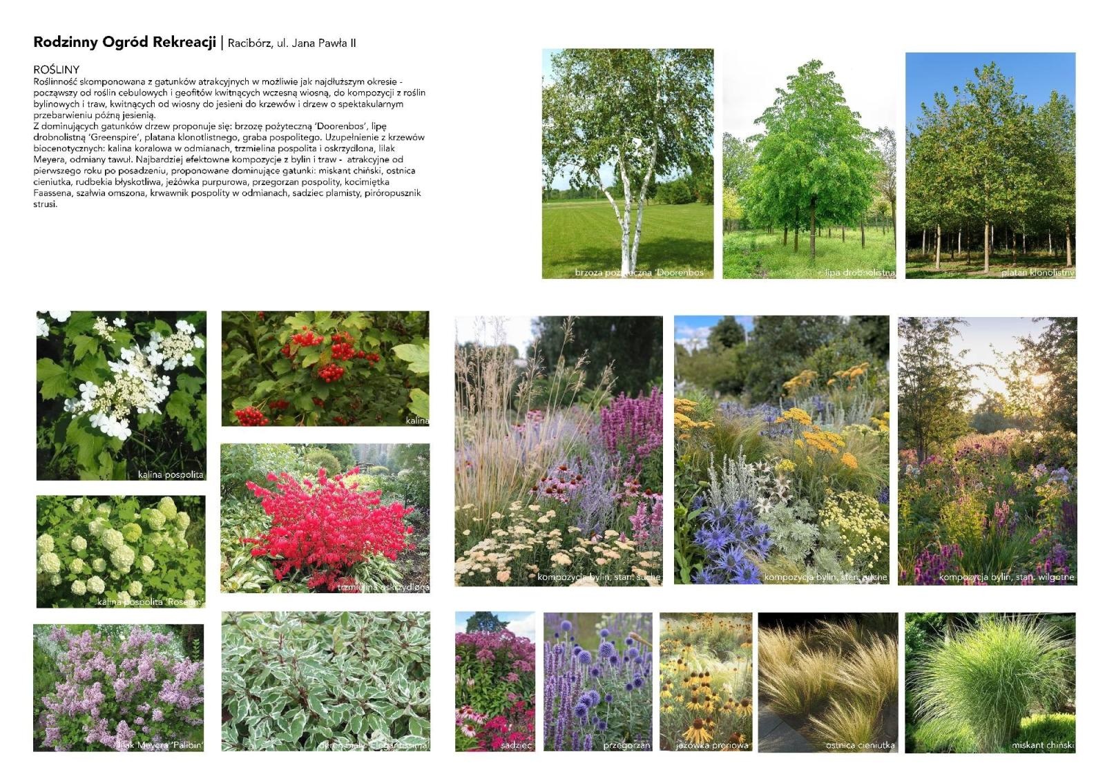 Zdjęcie w galerii na portalu naszraciborz.pl: Wielki miś nie w tym roku. Miasto chce na co innego wydać pieniądze z Polskiego Ładu wiadomości z regionu