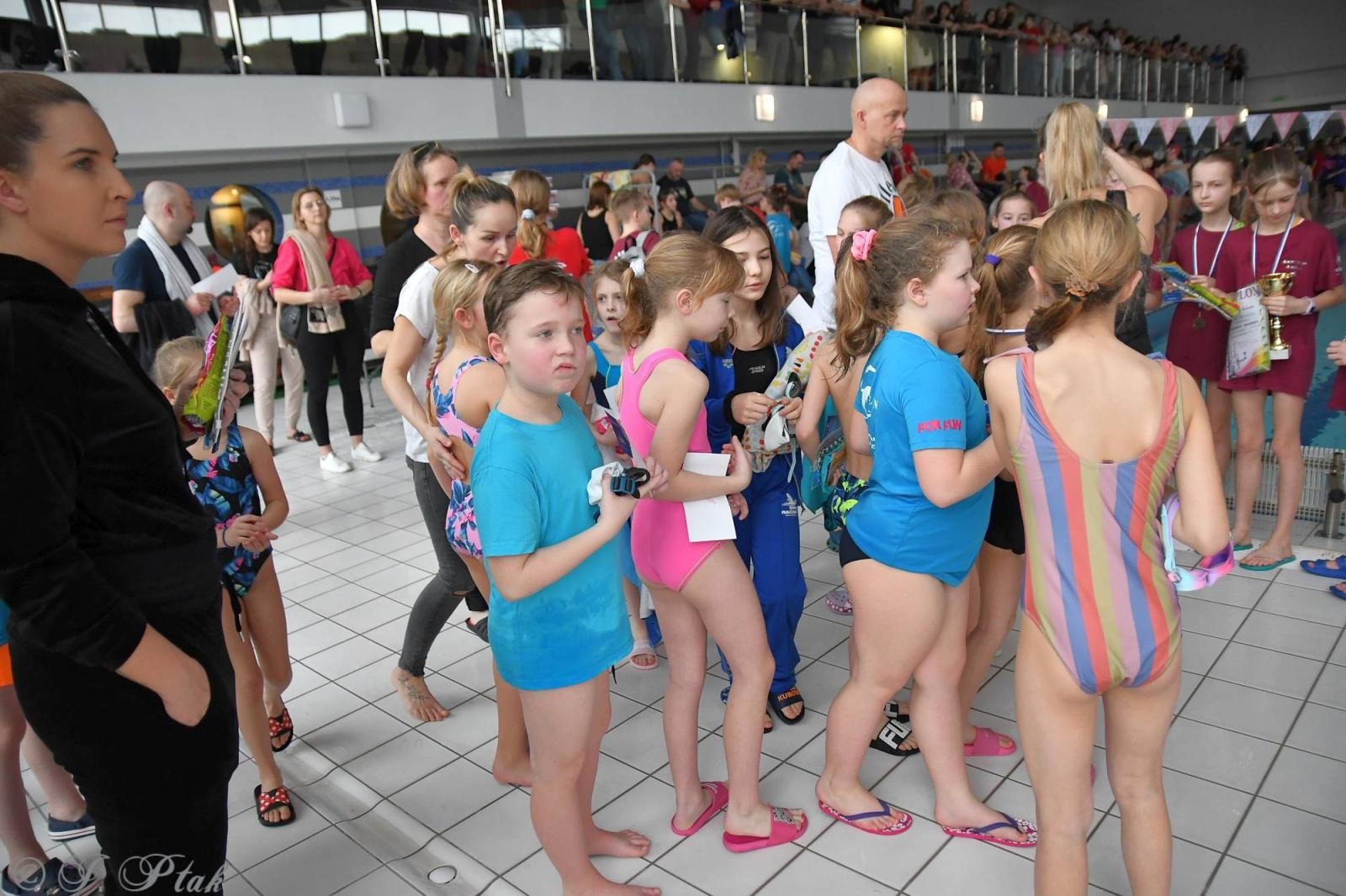 Zdjęcie w galerii na portalu naszraciborz.pl: Mistrzostwa raciborskich szkół w pływaniu wiadomości z regionu