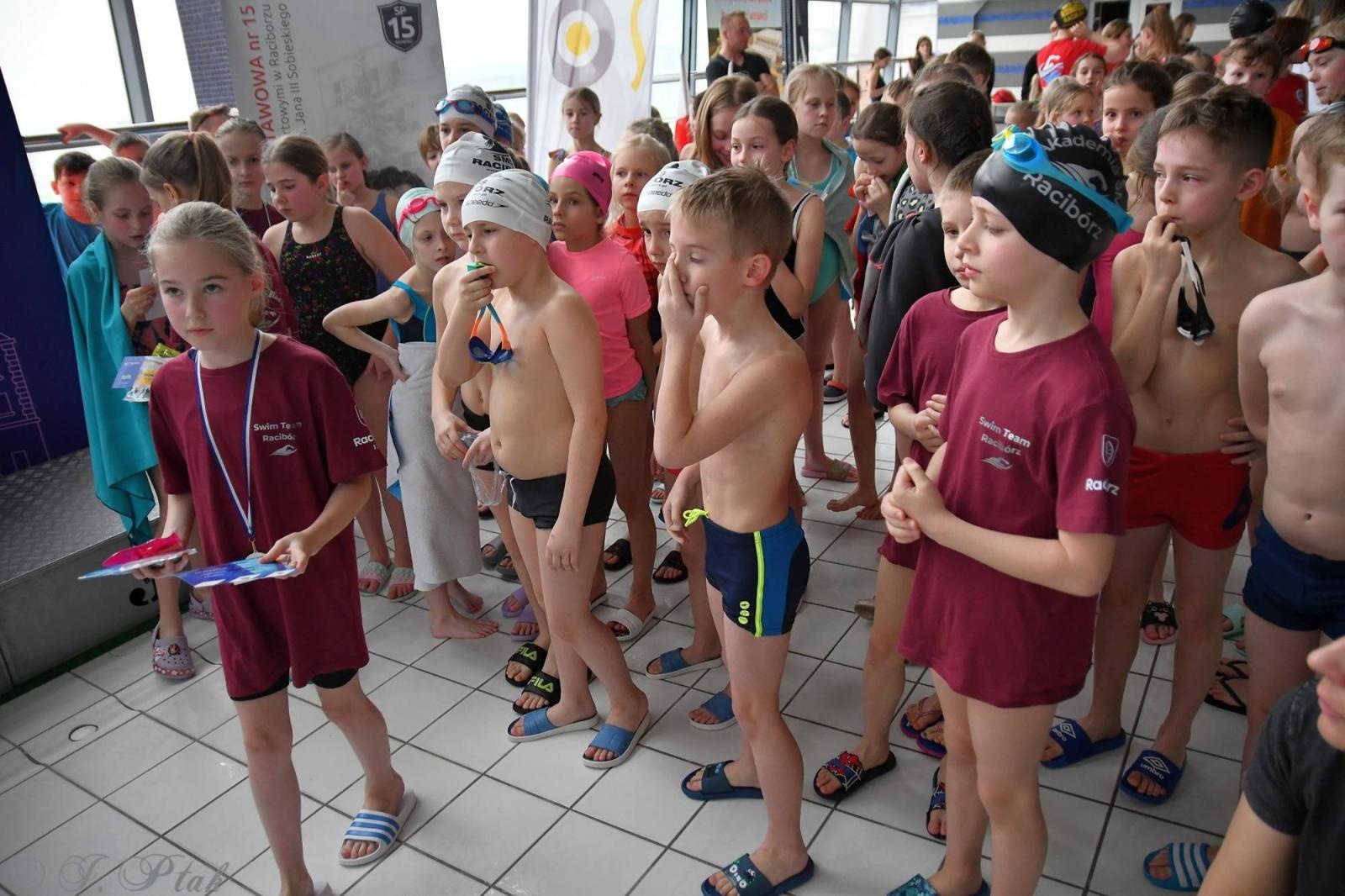 Zdjęcie w galerii na portalu naszraciborz.pl: Mistrzostwa raciborskich szkół w pływaniu wiadomości z regionu