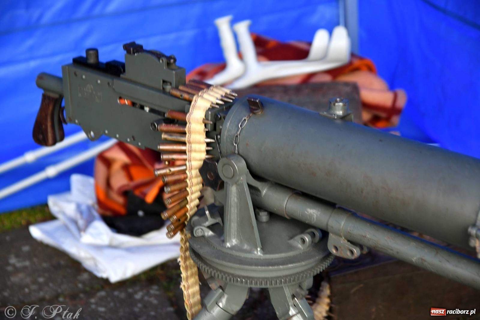 Zdjęcie w galerii na portalu naszraciborz.pl: Racibórz wspominał żołnierzy niezłomnych. Inscenizacja potyczki na pl. Długosza wiadomości z regionu