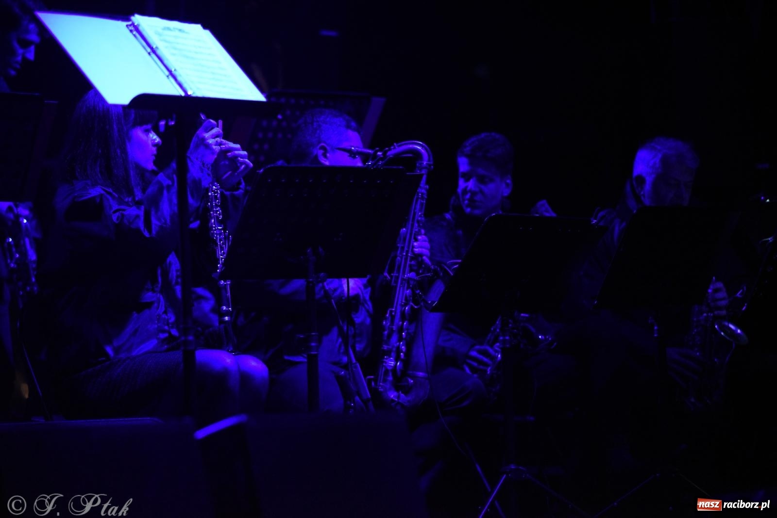 Zdjęcie w galerii na portalu naszraciborz.pl: Rafał Brzozowski w Raciborzu. Patriotycznie i przebojowo wiadomości z regionu