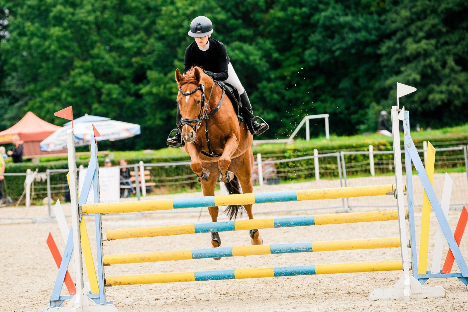 Zdjęcie w galerii na portalu naszraciborz.pl: Raciborzanka ponownie w kadrze wojewódzkiej Opolskiego Związku Jeździeckiego wiadomości z regionu