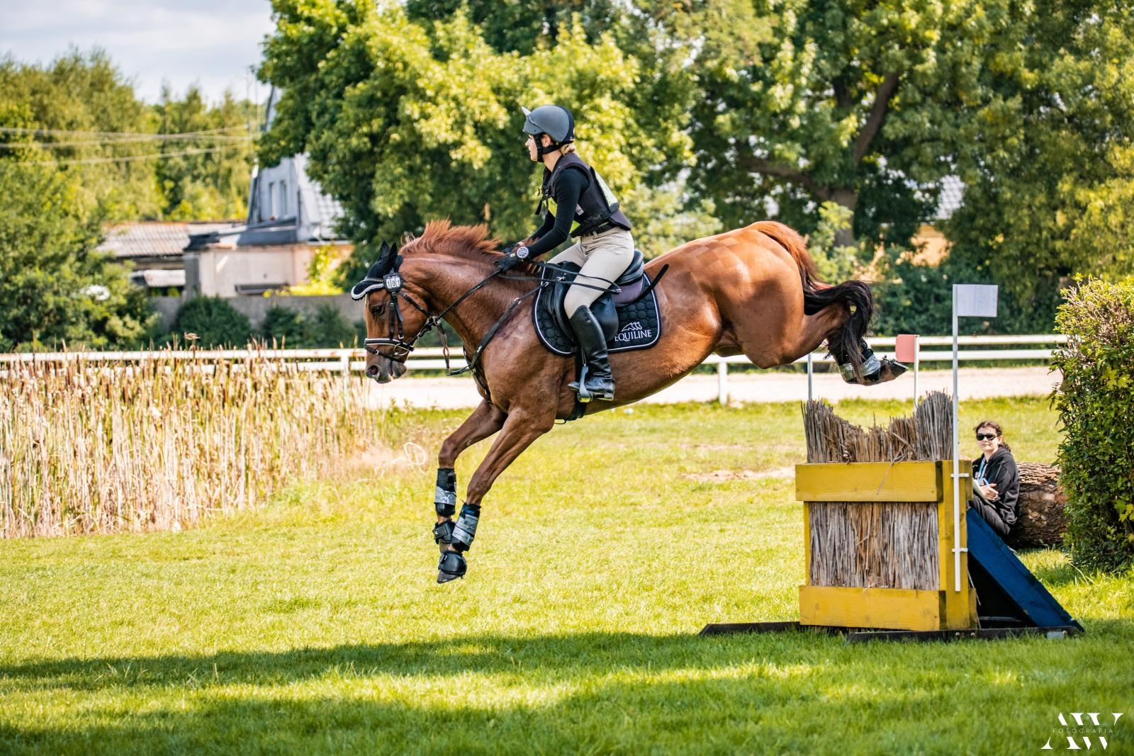 Zdjęcie w galerii na portalu naszraciborz.pl: Raciborzanka ponownie w kadrze wojewódzkiej Opolskiego Związku Jeździeckiego wiadomości z regionu