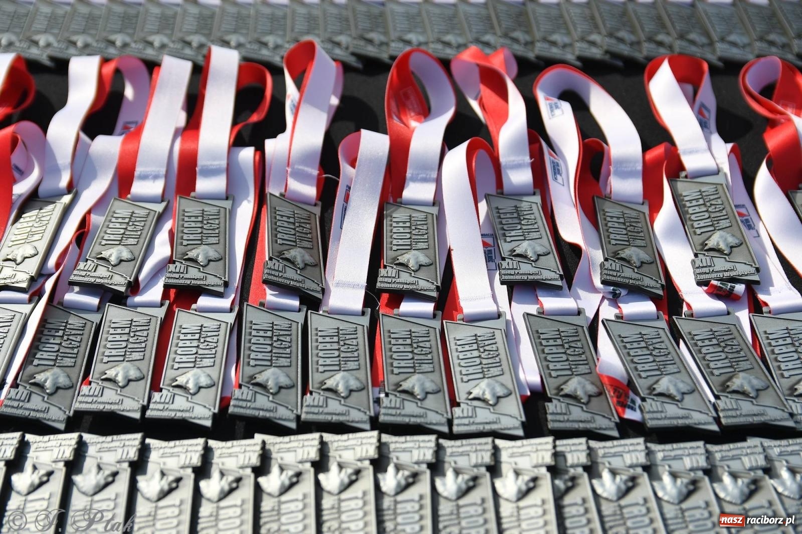 Zdjęcie w galerii na portalu naszraciborz.pl: Tropem Wilczym - Bieg Pamięci Żołnierzy Wyklętych wiadomości z regionu